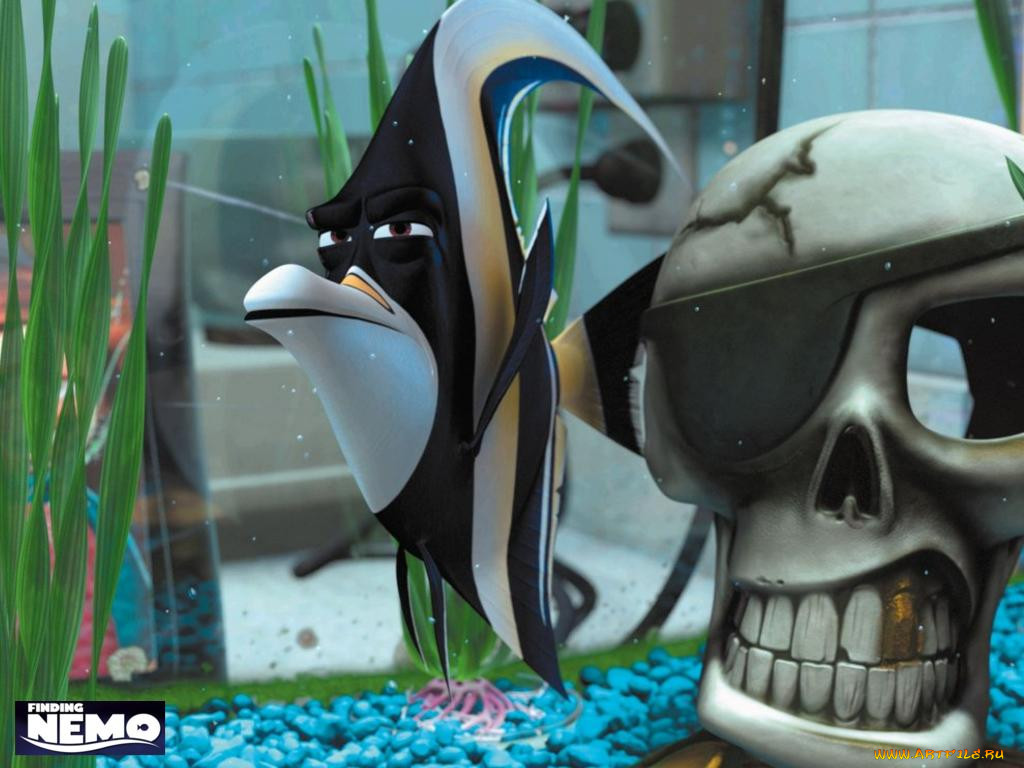 , finding, nemo